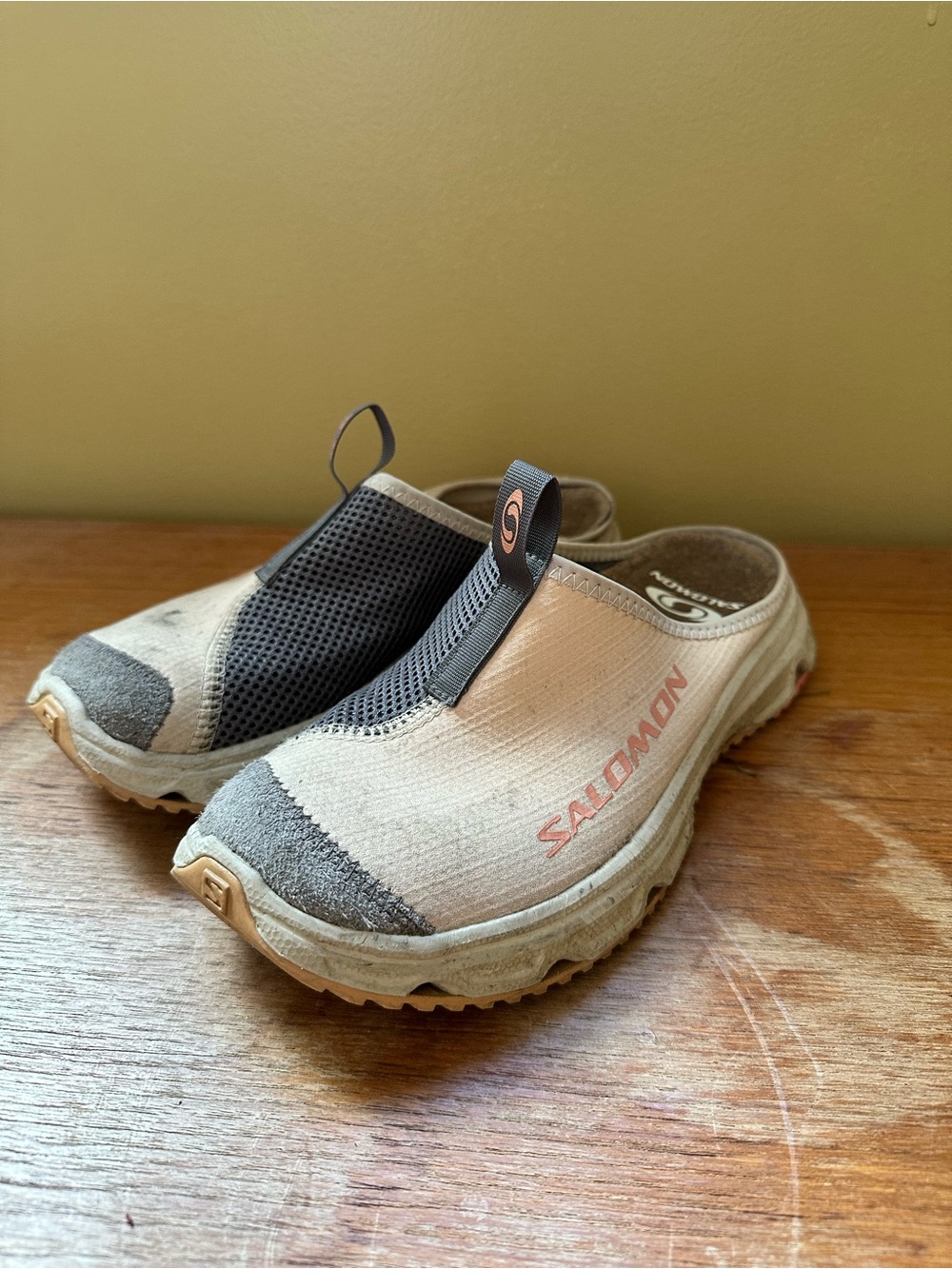 Salomon Beige and Gray Slip-On Moccasins